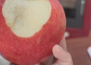 ¿Qué sembrar en Septiembre? y ¿Cuáles son las verduras de temporada?